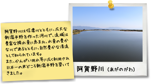 阿賀野川は信濃川とともに、広大な新潟平野を作った河川で、流域は豊富な降水量に恵まれ、水量の豊かな川であるとともに、自然豊かな清流として知られています。また、かんがい用水等に広く利用され日本一の米どころ新潟平野を築いてきました。
